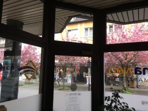 Online Marketing Frühling Dormagen