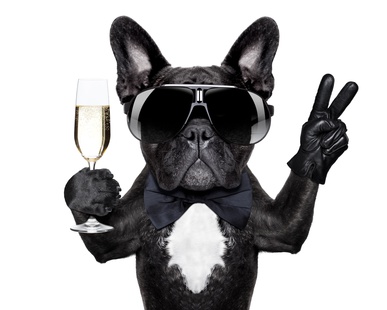 2. Dormaweb Geburtstag